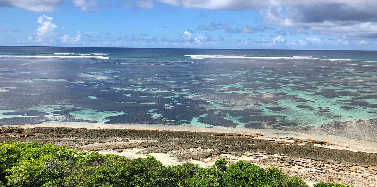 珊瑚礁が広がる海