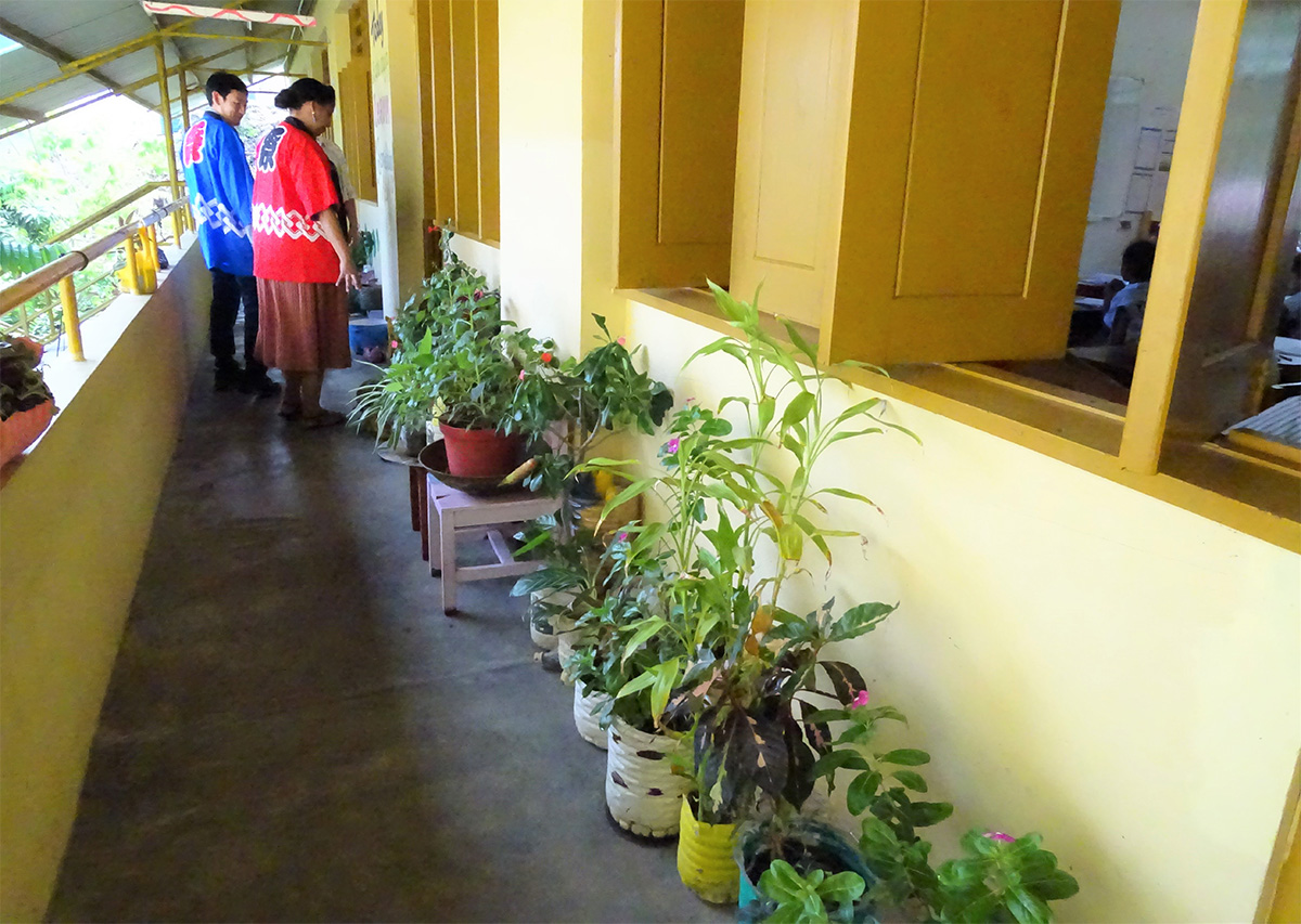 投下にたくさん並べられた植木鉢