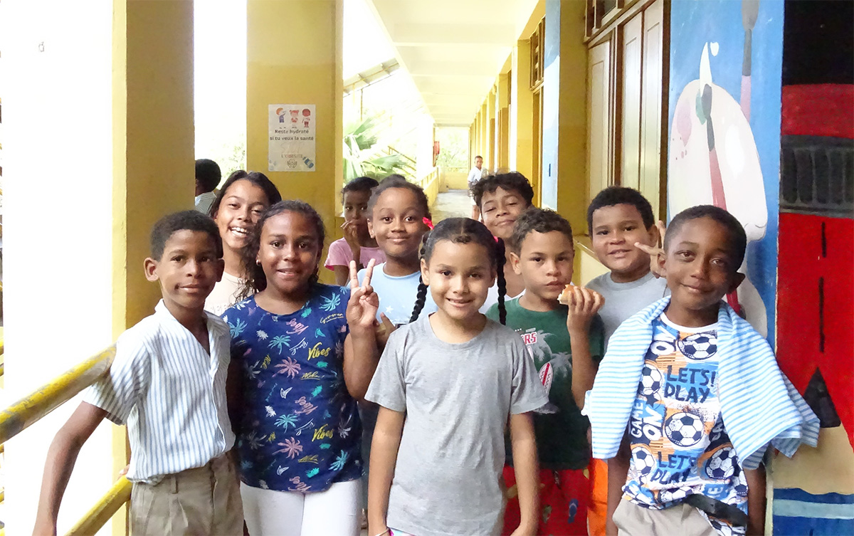 投下にたくさん並べられた植木鉢