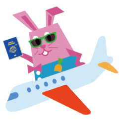 パスポートを持って飛行機に乗るラビット