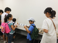 （写真）