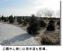 公園中心部には遊歩道も整備。