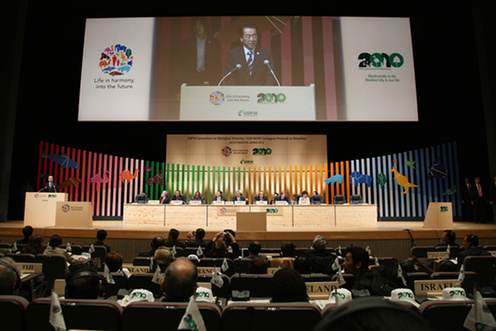 （写真）我が国の生物多様性保全に関する途上国支援イニシアティブの発表