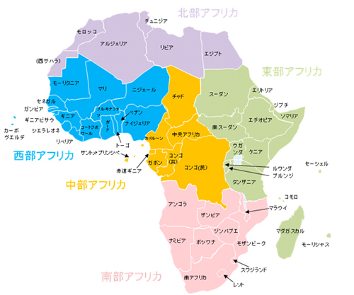 外務省 エキスパートたちの世界 外務省の専門家インタビュー アフリカのおへそ で考えた アフリカ専門官 村田さん