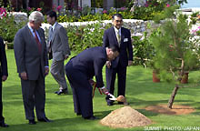 Memorial Tree Planting Ceremony