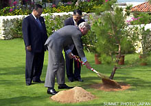 Memorial Tree Planting Ceremony