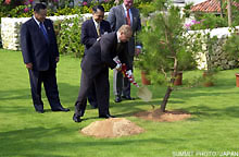 Memorial Tree Planting Ceremony
