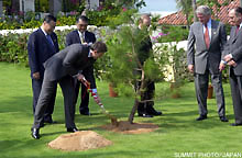 Memorial Tree Planting Ceremony
