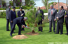 Memorial Tree Planting Ceremony