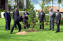 Memorial Tree Planting Ceremony