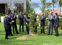 Memorial Tree Planting Ceremony
