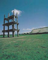 The Sannai-Maruyama remains