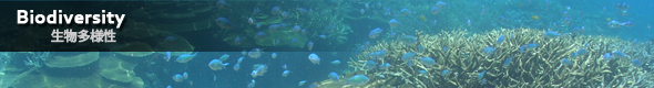 Biodiversity