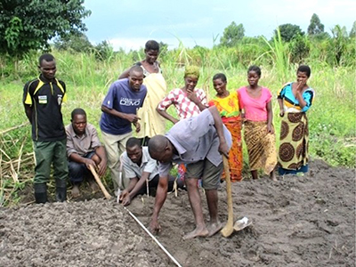A photo of Farmers in Malawi