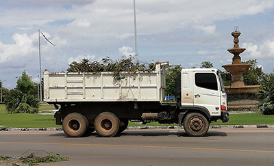 A photo of Dump trucks supplied by Japan being used to remove disaster waste generated by Hurricane Ian