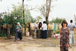 temporary shelter