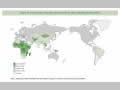 Chart 13. Percentage of People with Access to Safe Drinking Water (2002)