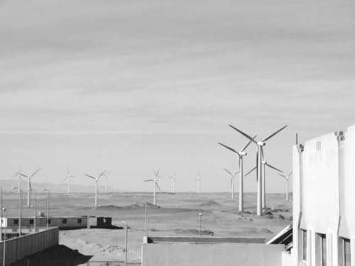 Existing facilities of Zafarana Wind Power Plant (Photo: JBIC)