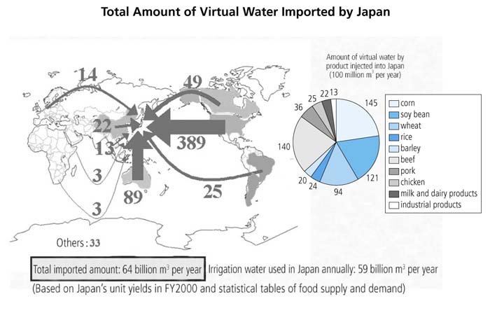 Source: Personal sites of Dr. Taikan Oki (http://hydro.iis.u-tokyo.ac.jp/Info/Press200207/Img2003-01/vw2003-0130_08.jpg)