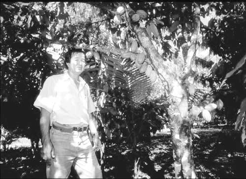 Mr. Konagano under a cacao tree. He works hard to popularize agroforestry. (Photograph: Hikaru Nagatake)