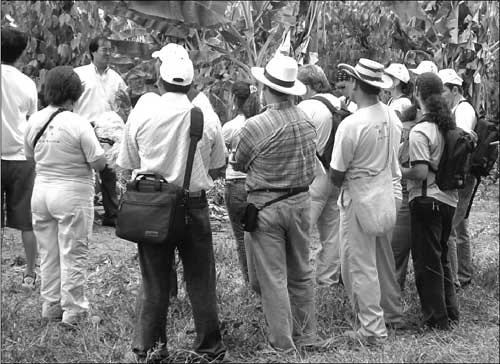 Third Country Training Program (TCTP): Mr. Konagano giving a lecture on agroforestry