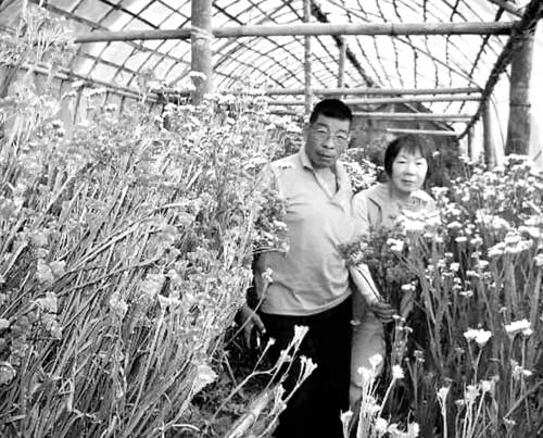 Ms. Sugimoto and a local leader at their horticultural farm