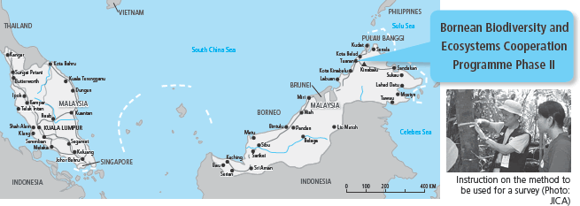 Bornean Biodiversity and Ecosystems Cooperation Programme Phase II
