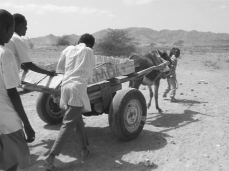 Cleaning activity using a donkey at the refugee camp (Photo: Ms. Murakami)