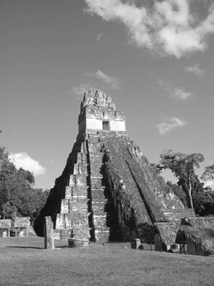 Pyramid in Tikal (Photo: Professor Nakamura)