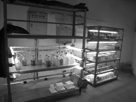 “Sleeping Microbial Beauties” Projects