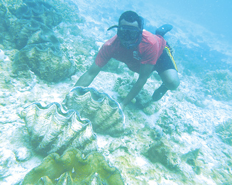 A project to cultivate giant clams, the largest bivalve in the world, in Vanuatu (Photo: Shigeaki Sone)