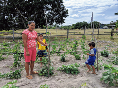 A woman who started a vegetable garden in her home after joining a participatory agrometeorology workshop (Photo: UNDP Guyana)