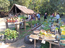 Photo of New home vegetable gardens to increase the intake of fruit and vegetables (Photo: JICA)