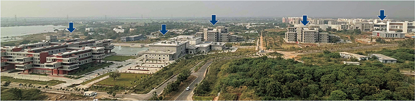 Photo 1. Details in caption.