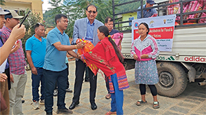 Photo 2. Details in caption.