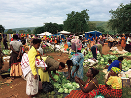 Photo 1. Details in caption.