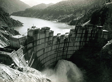 Photo 2. Details in caption.