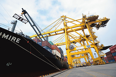 Photo 2. Details in caption.