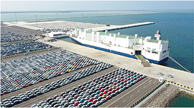 Photo 1. Details in caption.