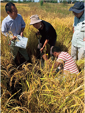 Photo 5. Details in caption.