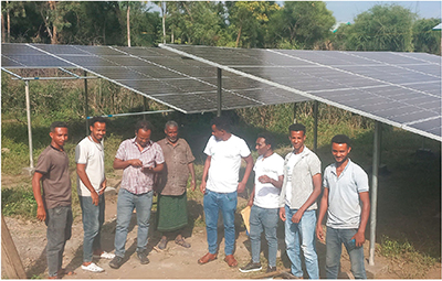 Photo 2. Details in caption.