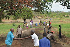 Photo 2. Details in caption.