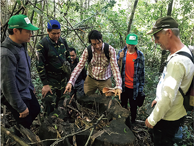 Photo 4. Details in caption.