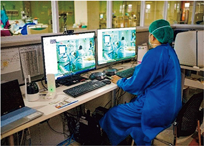 Photo 1. Details in caption.