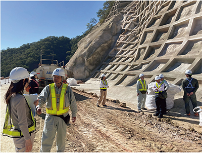 Photo 1. Details in caption.