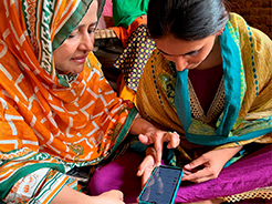 Photo 3. Details in caption.