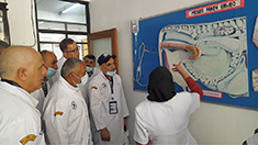 Photo 3. Details in caption.