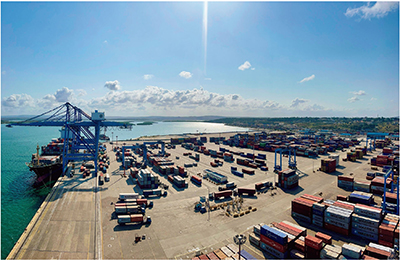 Photo 3. Details in caption.