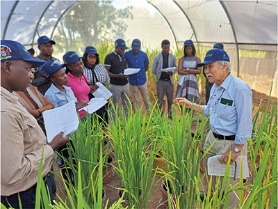 Photo 5. Details in caption.