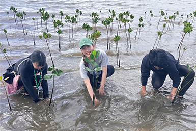 Photo 2. Details in caption.